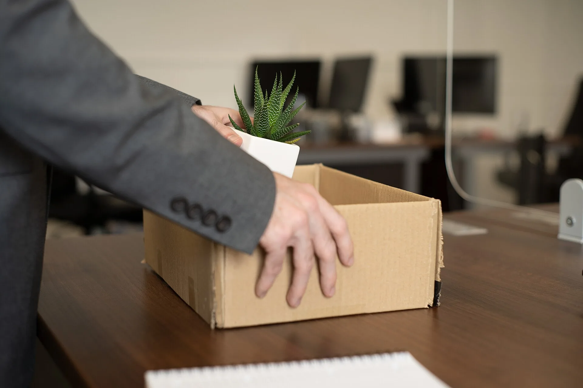 Man packs a plant into a box from clearing his desk. This is licensed under the Attribution Creative Commons licence, which means that you can use the image as long as you credit us with ownership of the image by linking to ciphr.com